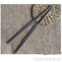 HealthPro Titanium (TI) Super Strong Lightweight Professional Chopsticks with Storage Bag (2) - B00MOQANSW